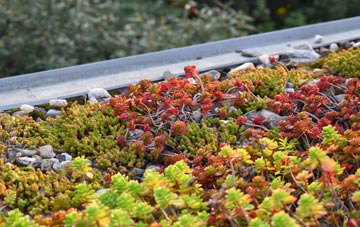 the cost of Charlton Abbots green roof installation