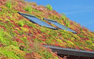 Charlton Abbots living roof systems